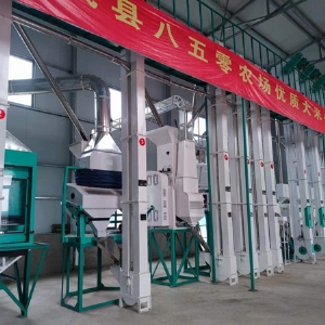 Complete Set of Milling Rice Equipment with Output of 80-300 T/D