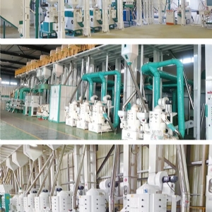 Complete Set of Milling Rice Equipment with Output of 80-300 T/D