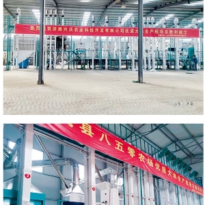 Complete Set of Milling Rice Equipment with Output of 80-300 T/D